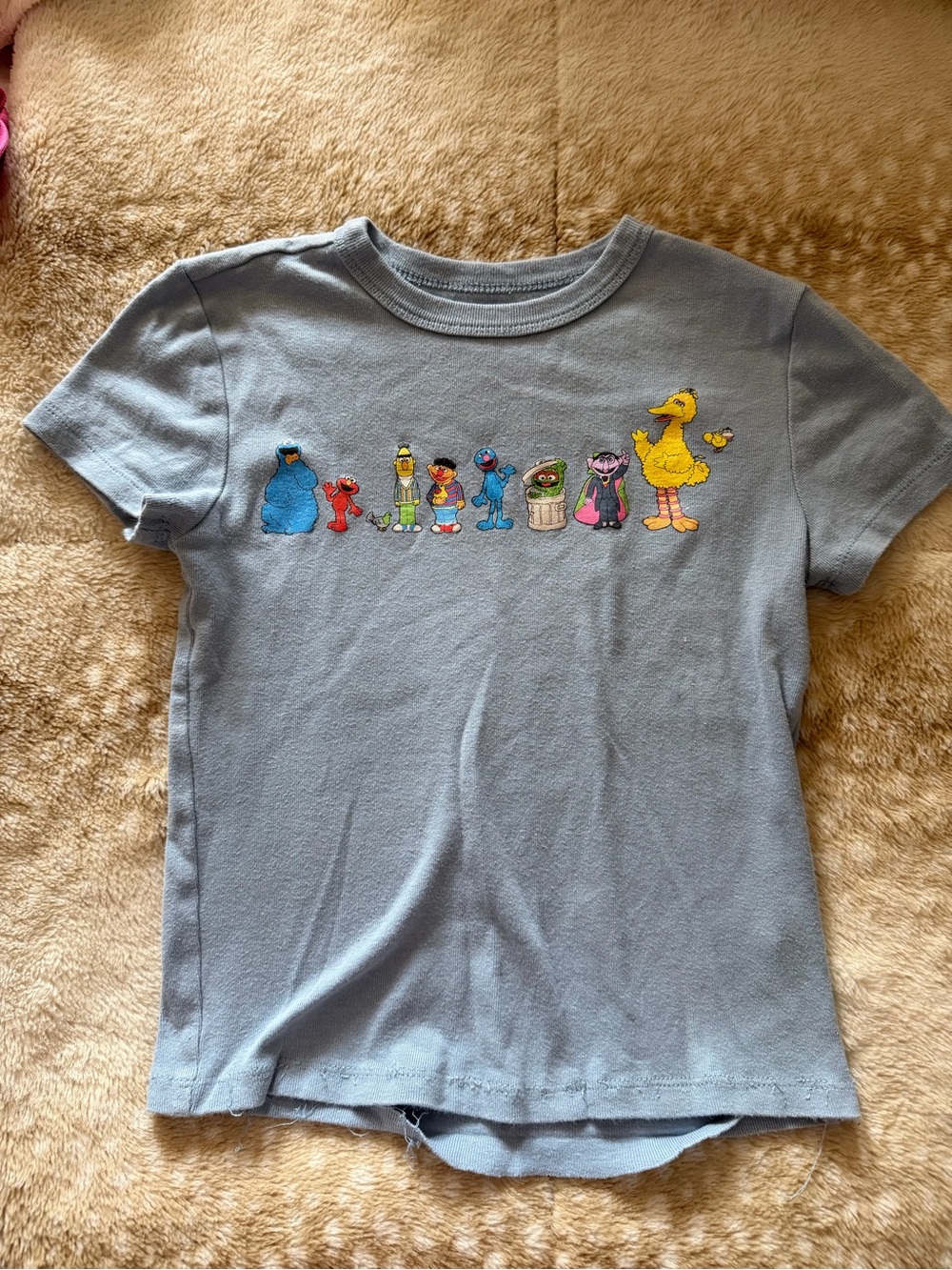 Sesame Street baby blue crop top